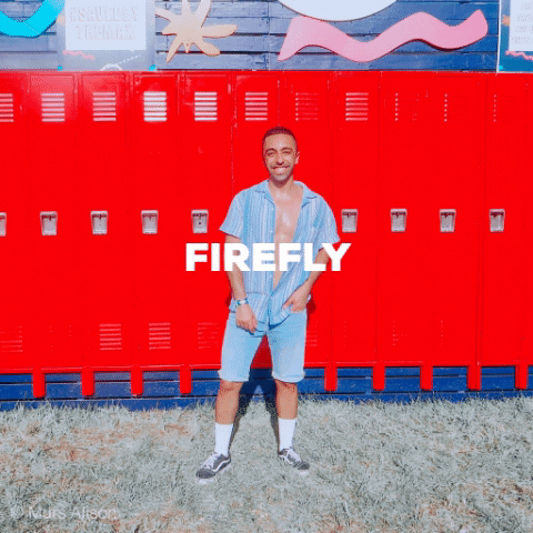 Firefly Music Festival Recap